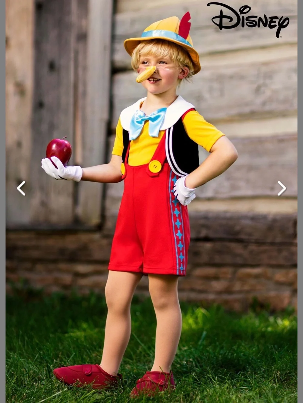 Disney Pinocchio Costume size 2T